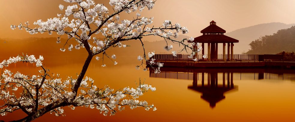 Les questions les plus courantes